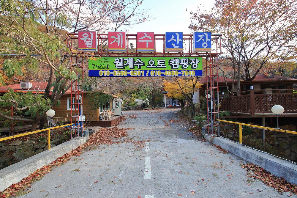 월계수 캠핑장