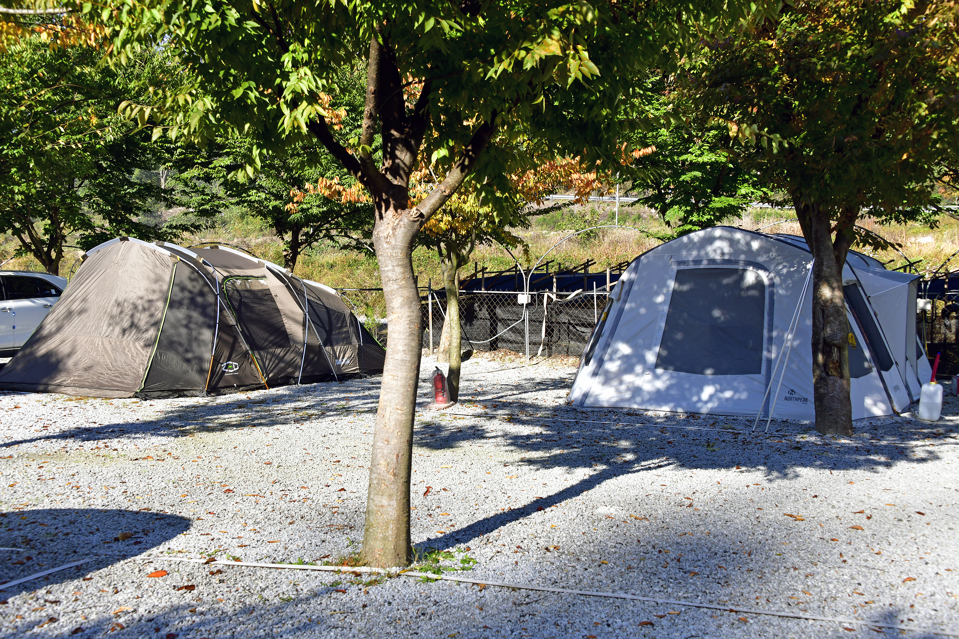 월성오토캠핑장