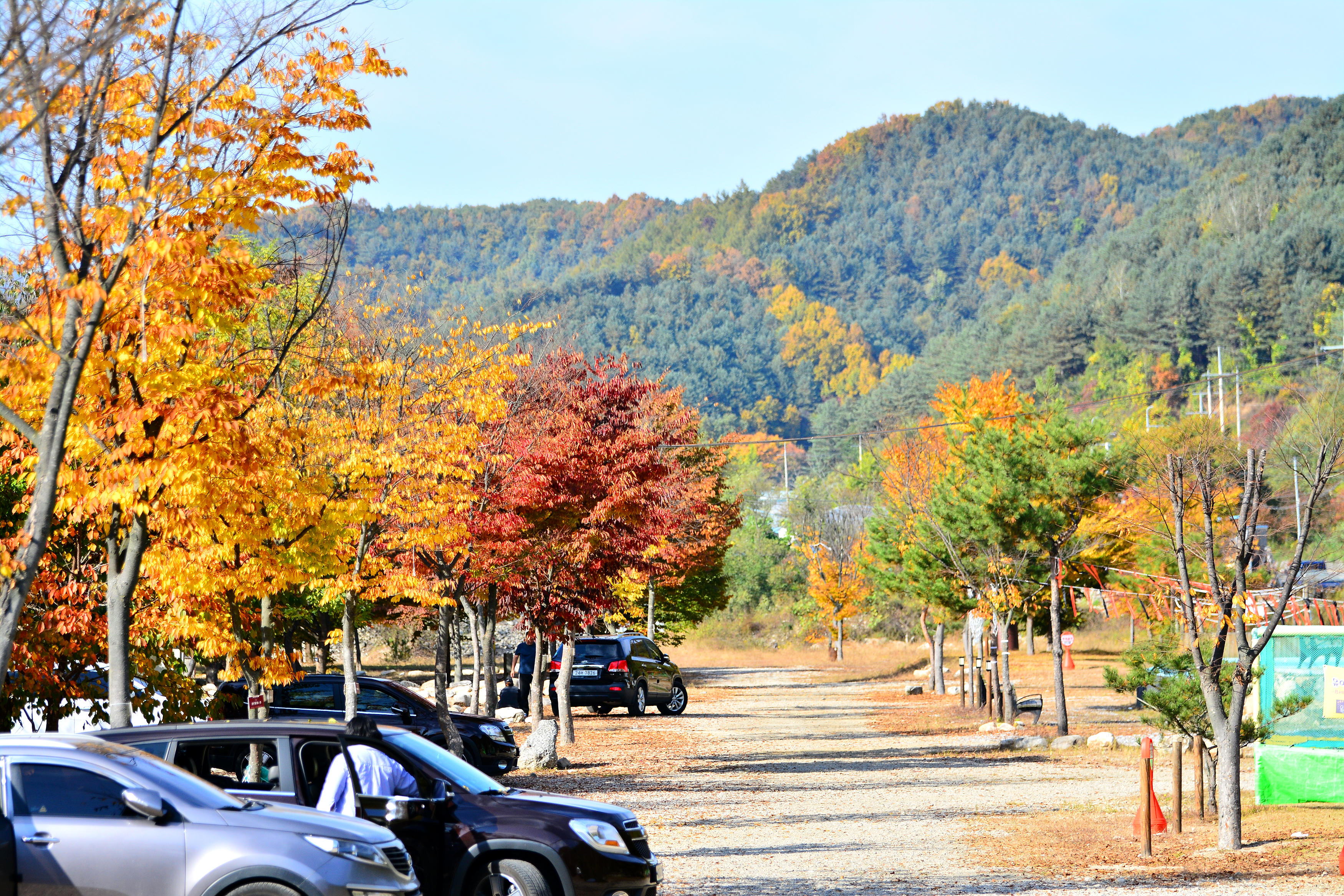 은빛물결캠핑장