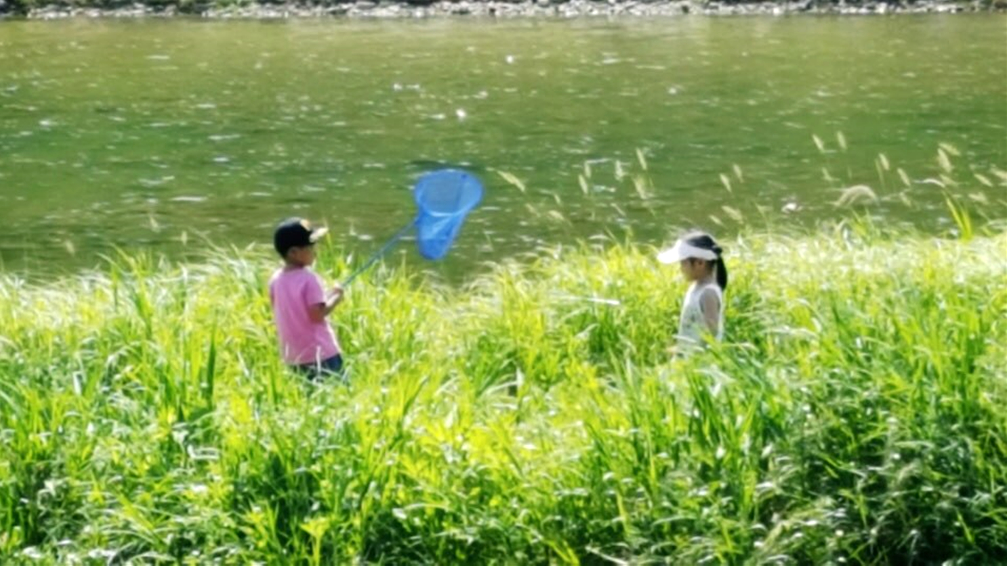 은빛물결캠핑장