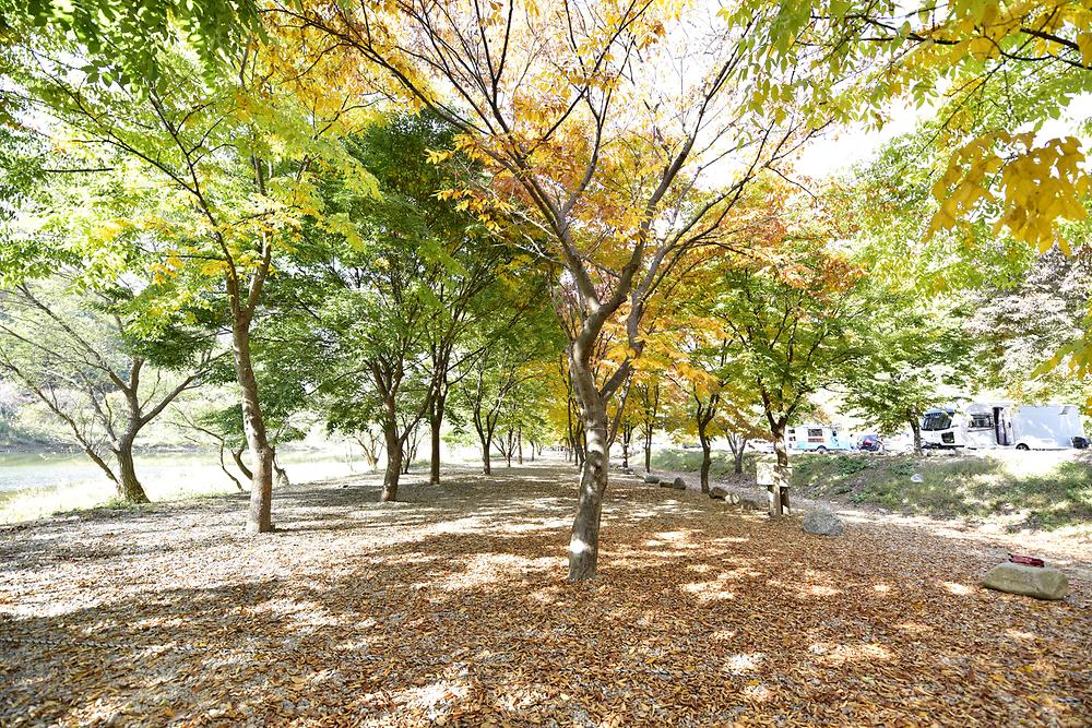 은빛물결캠핑장