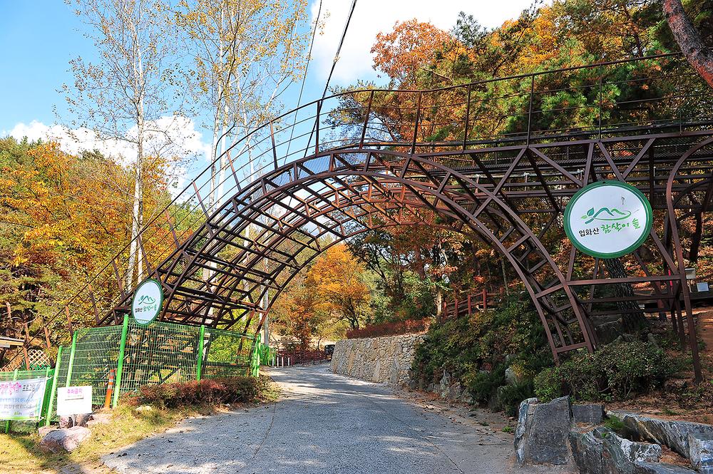 입화산 참살이숲 제2오토캠핑장