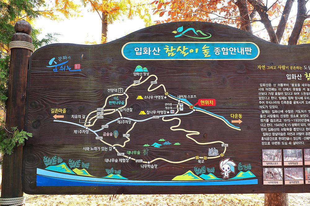 입화산 참살이숲 제2오토캠핑장