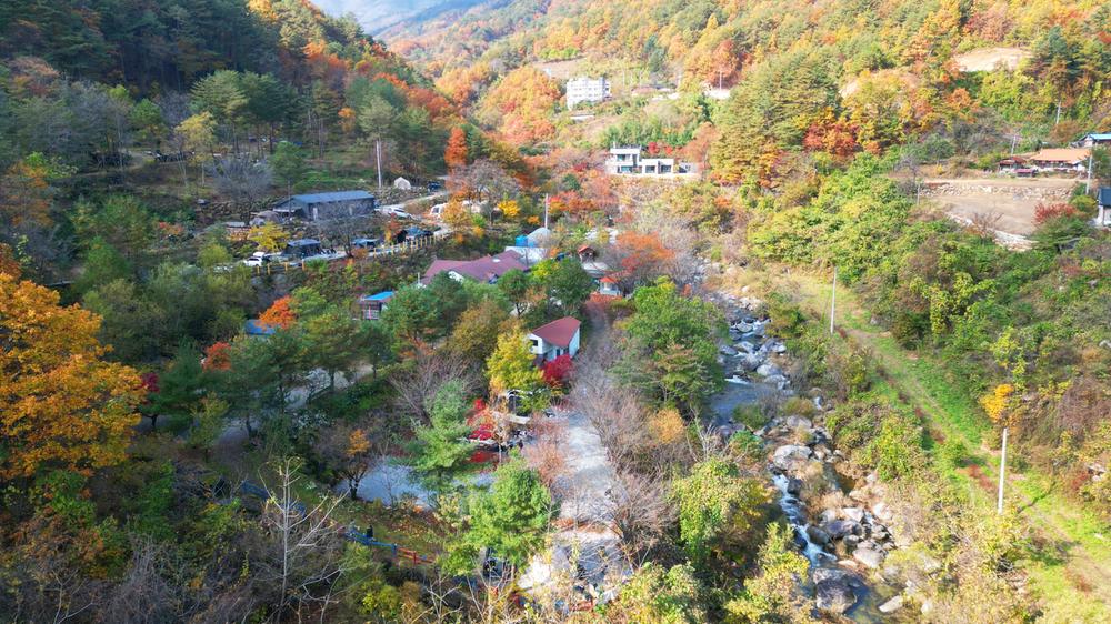 정원캠핑장