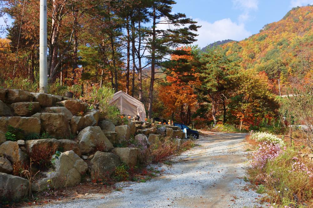 정원캠핑장