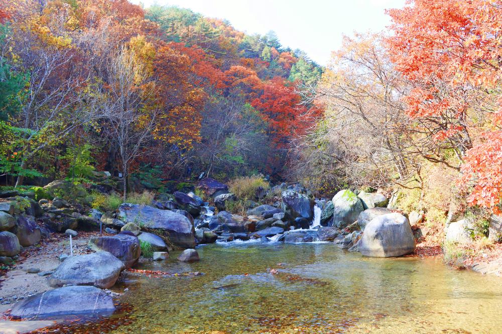 정원캠핑장