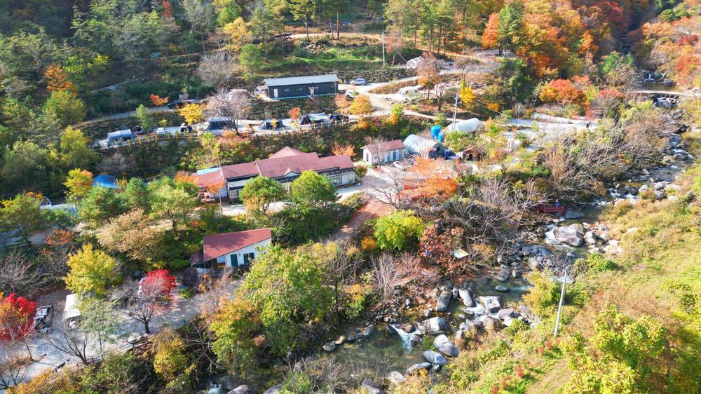 정원캠핑장