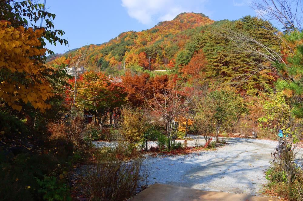 정원캠핑장