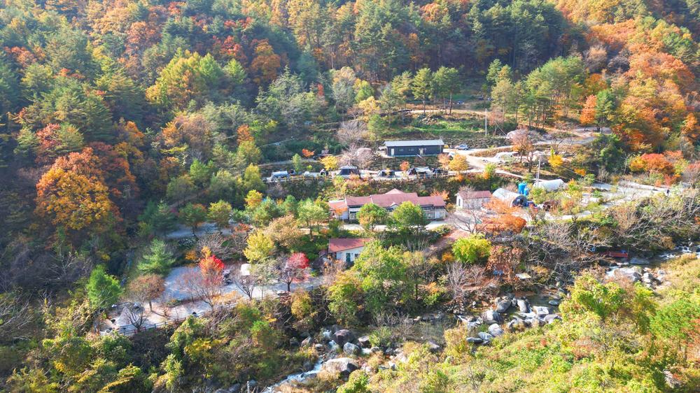 정원캠핑장