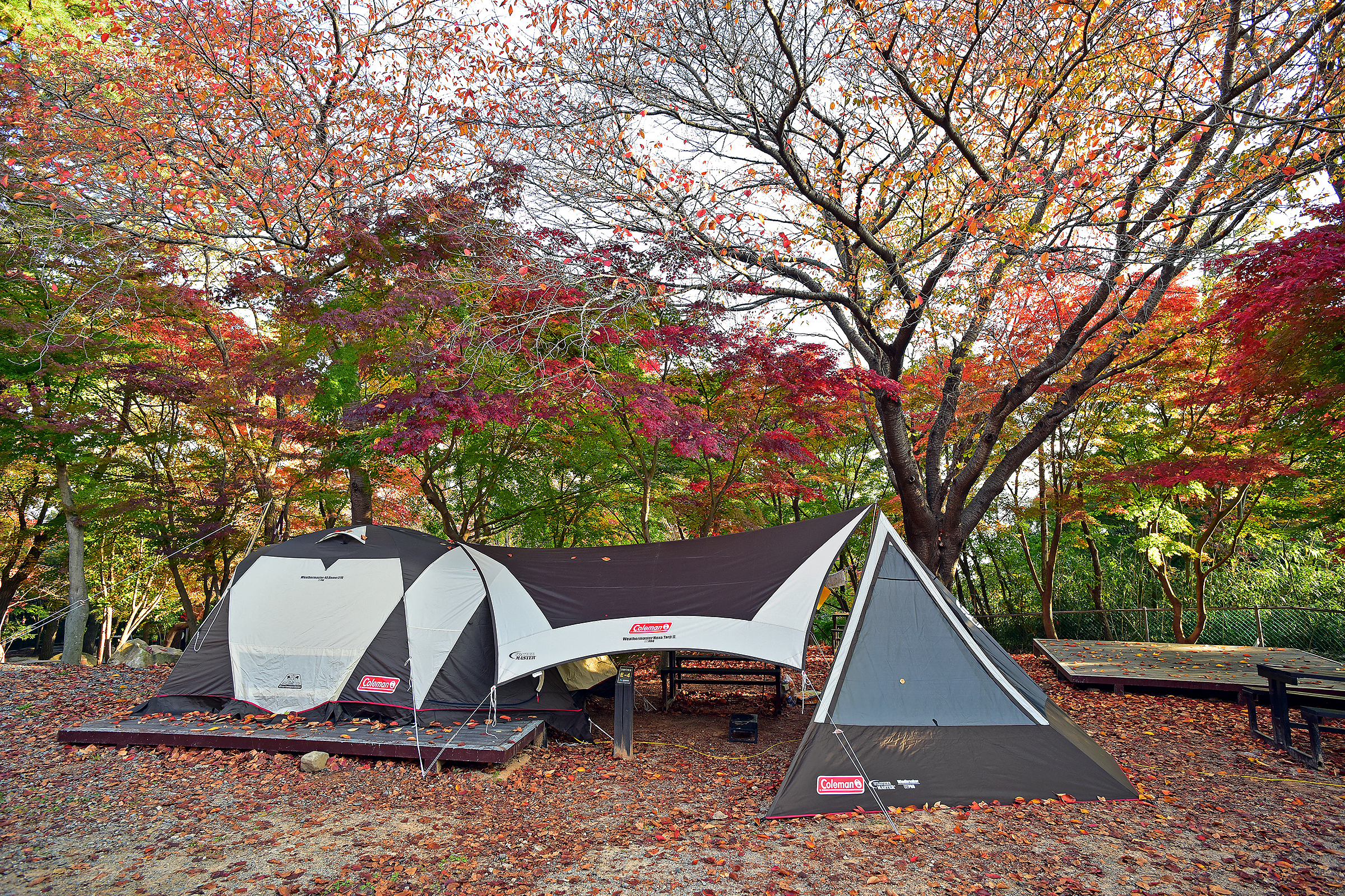 월출산국립공원 천황야영장