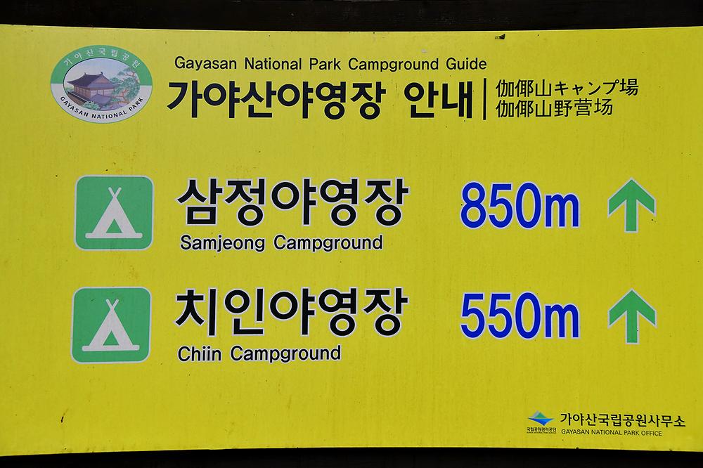 치인야영장