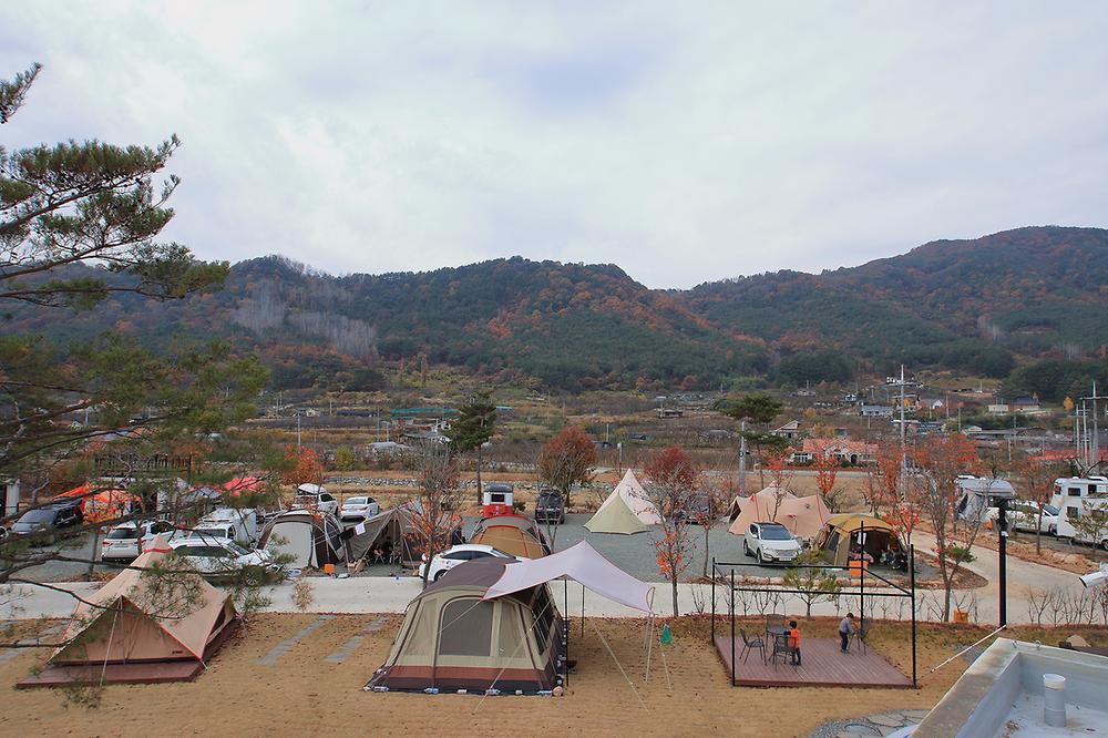 캠프 안단테