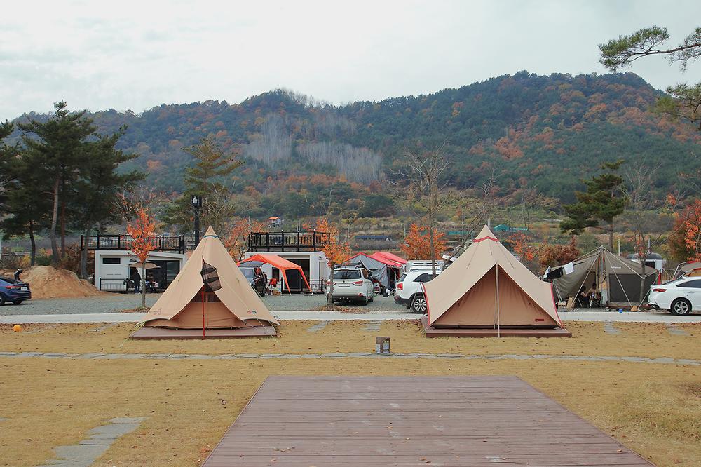 캠프 안단테