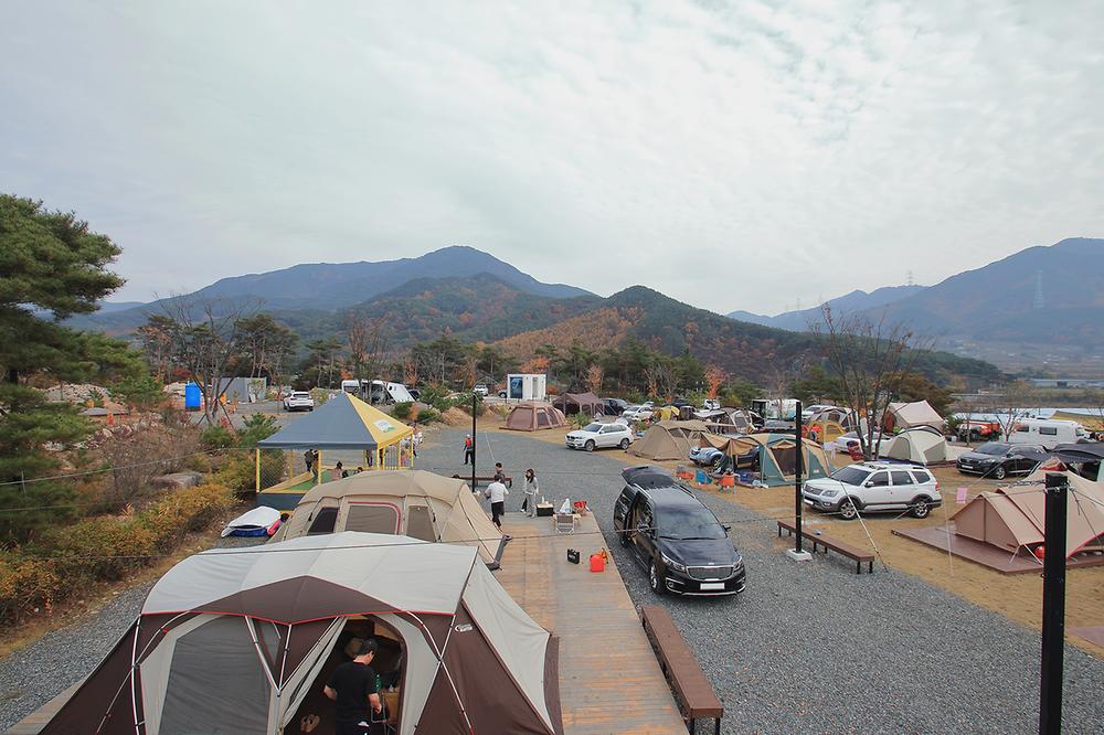 캠프 안단테