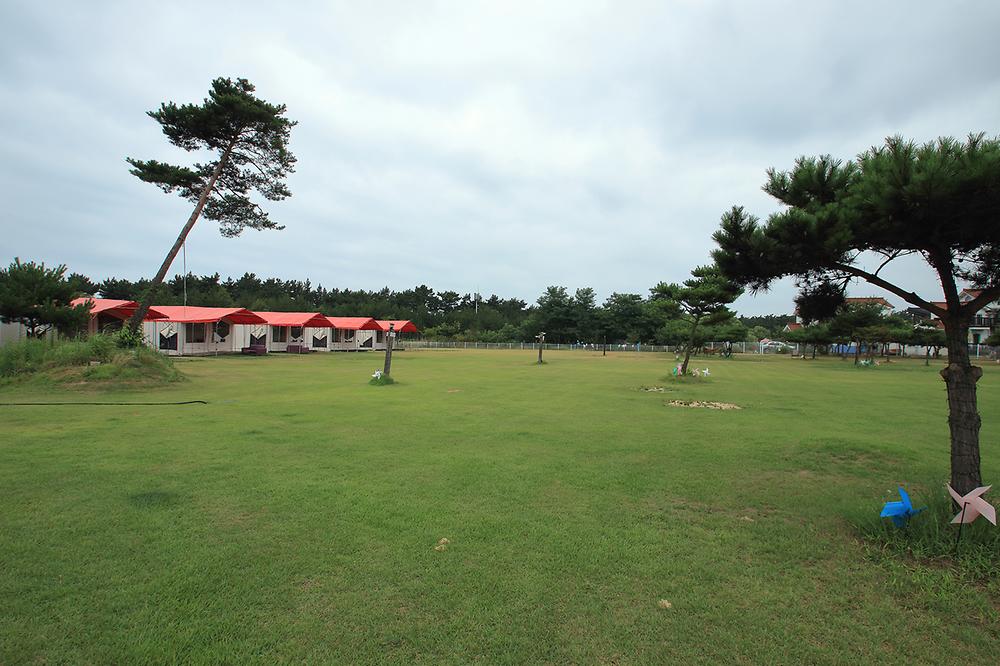 파라독스 애견펜션 / 돔글램핑&오토캠핑장