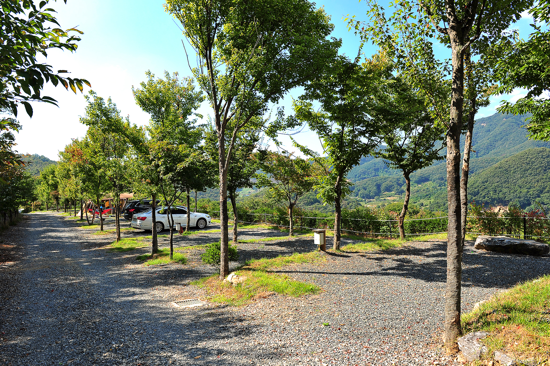 파인힐빌리지 캠핑장