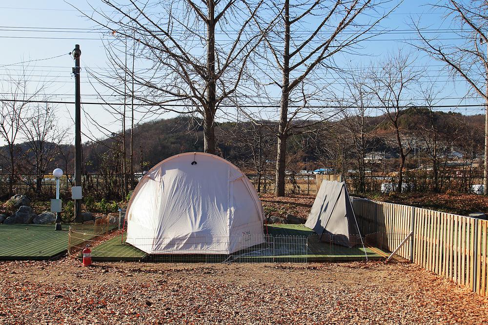 피플앤독 느티캠핑장