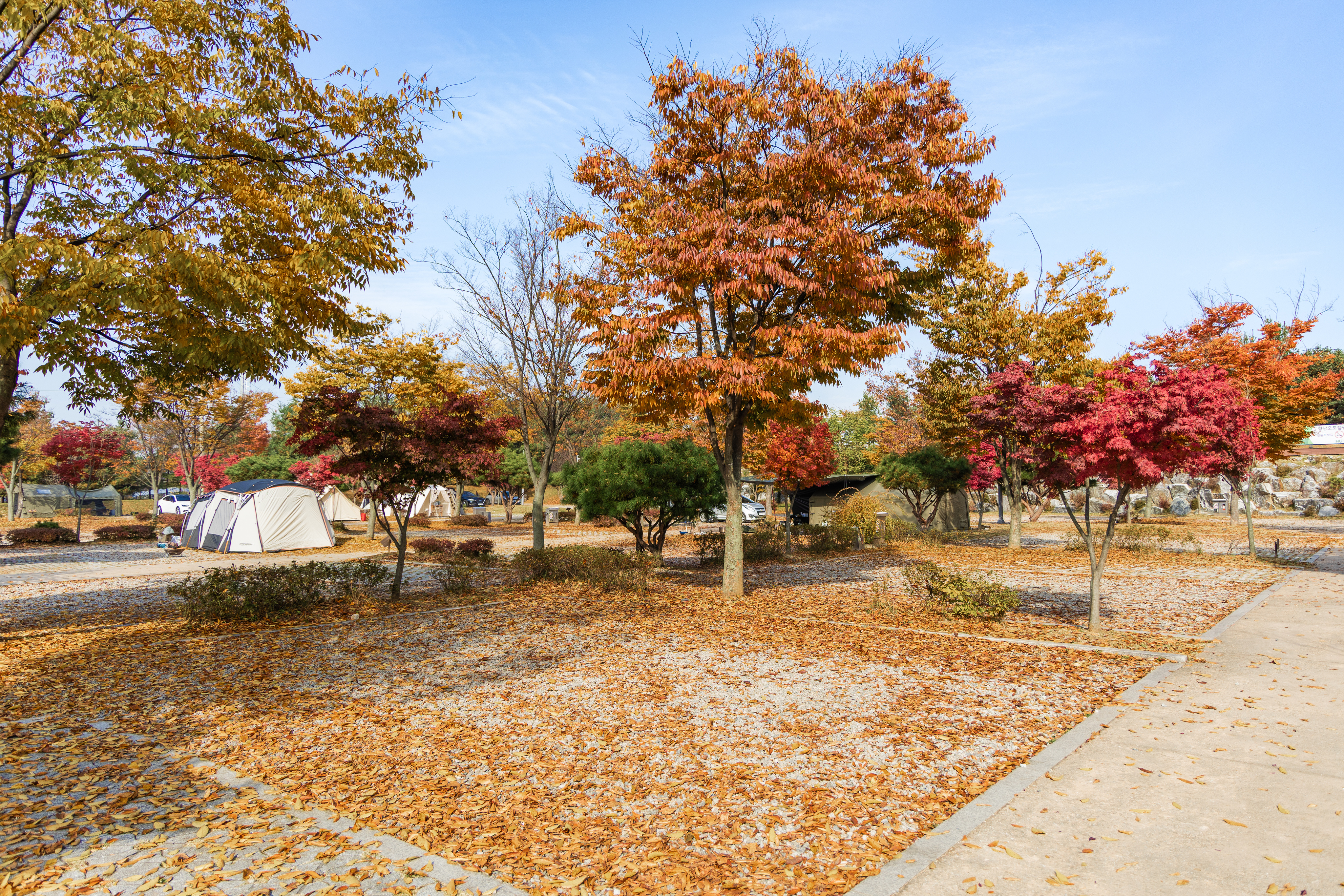 화성시 향남 오토캠핑장