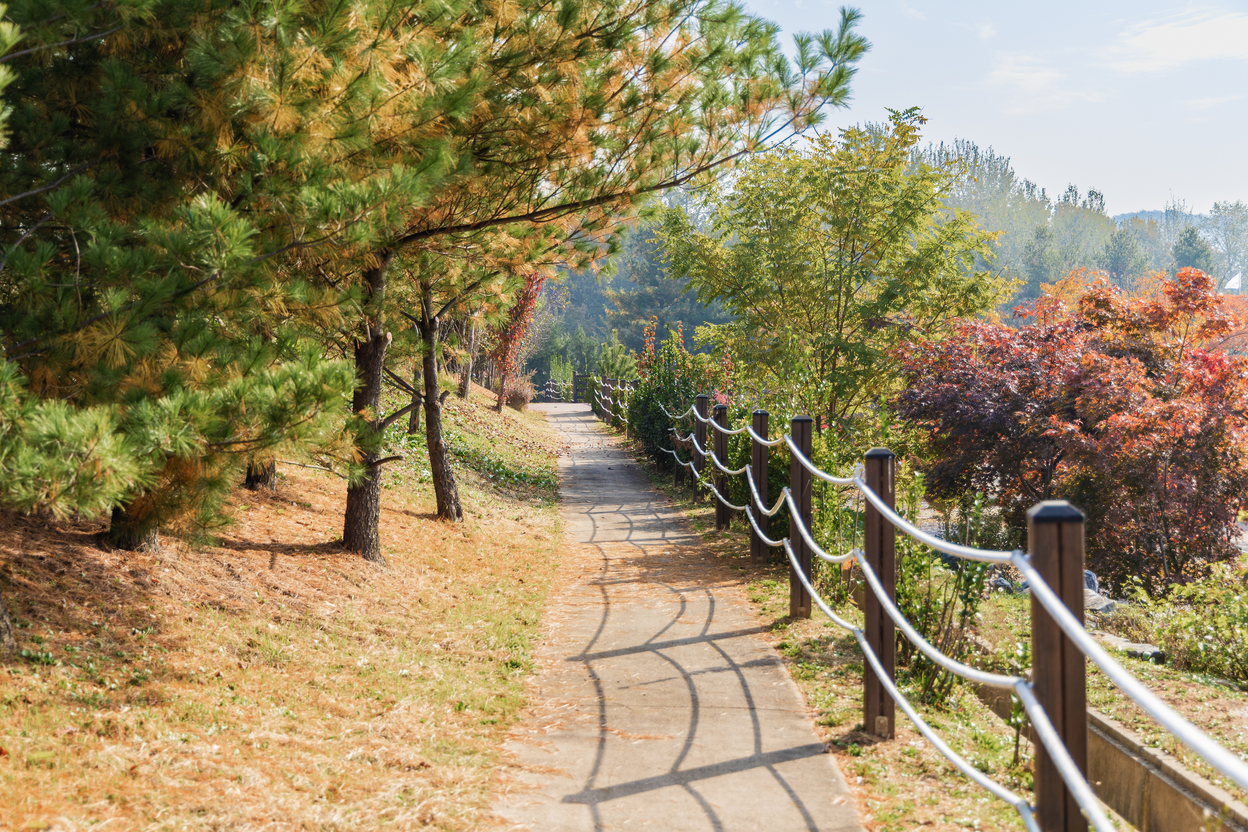 화성시 향남 오토캠핑장