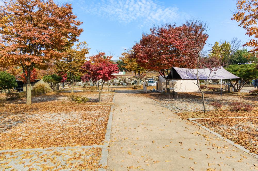 화성시 향남 오토캠핑장