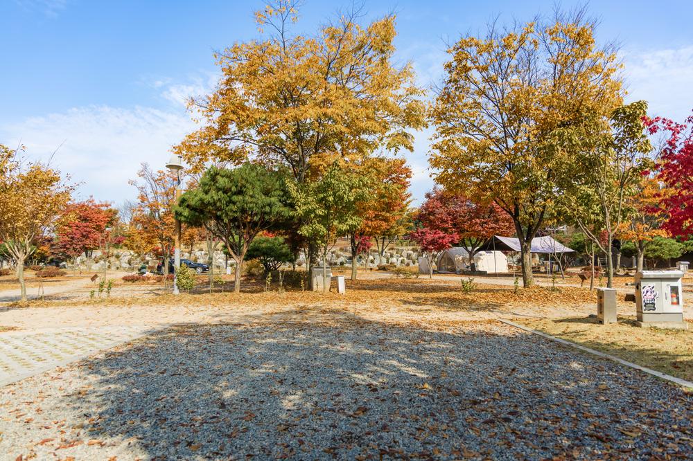 화성시 향남 오토캠핑장