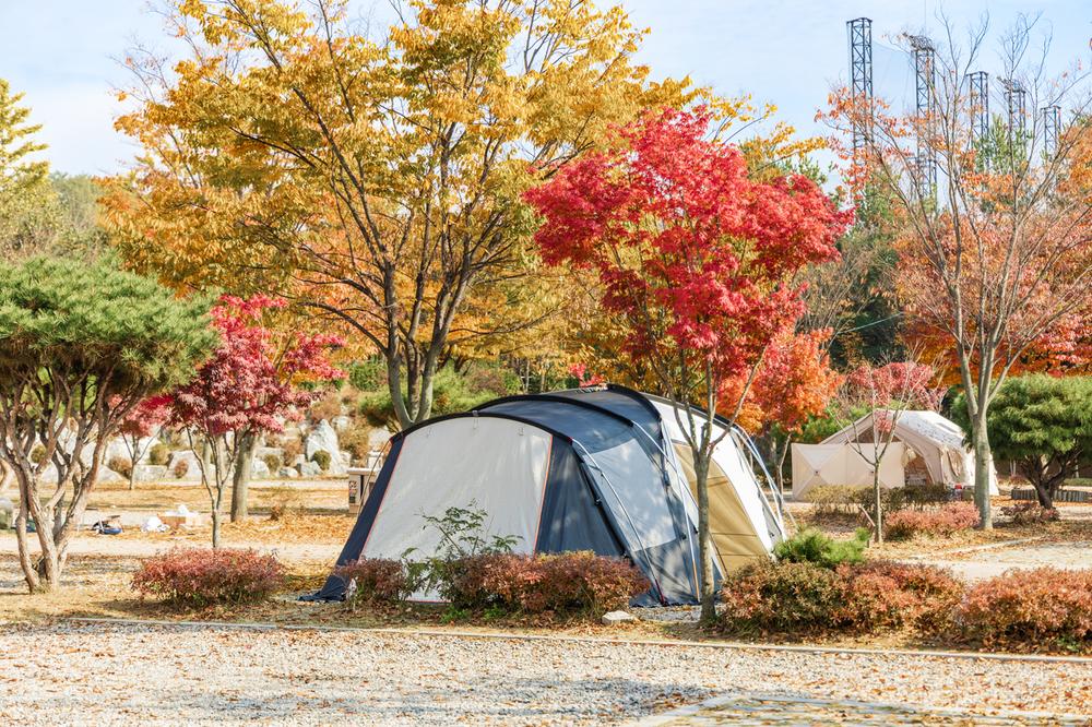 화성시 향남 오토캠핑장