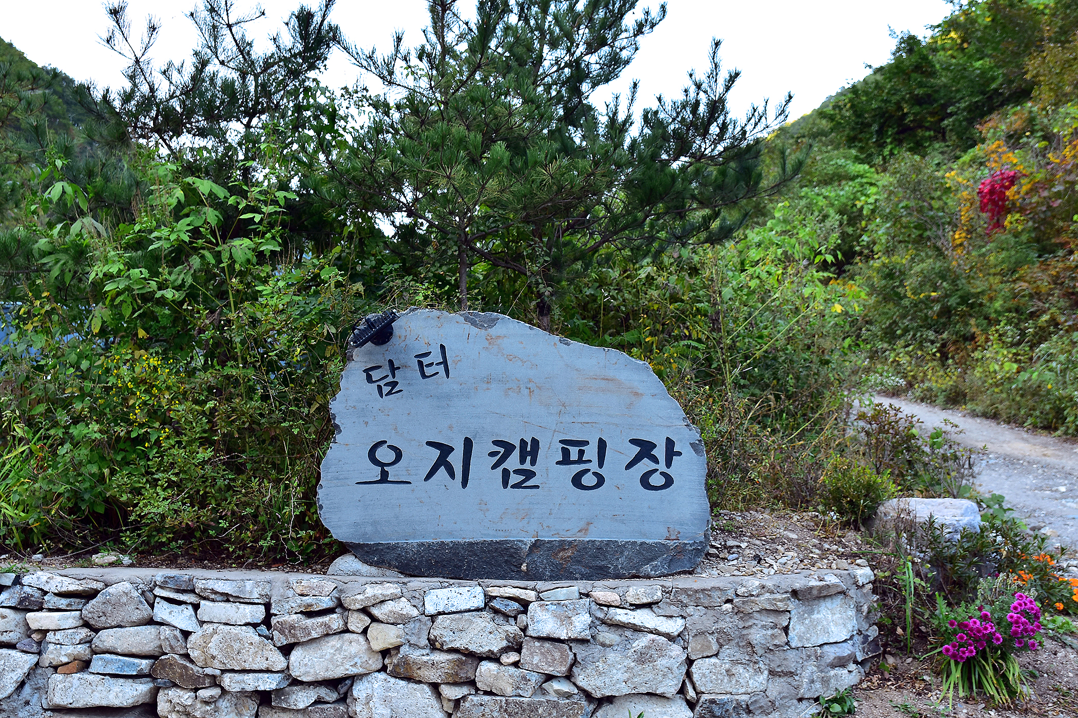 담터오지캠핑장