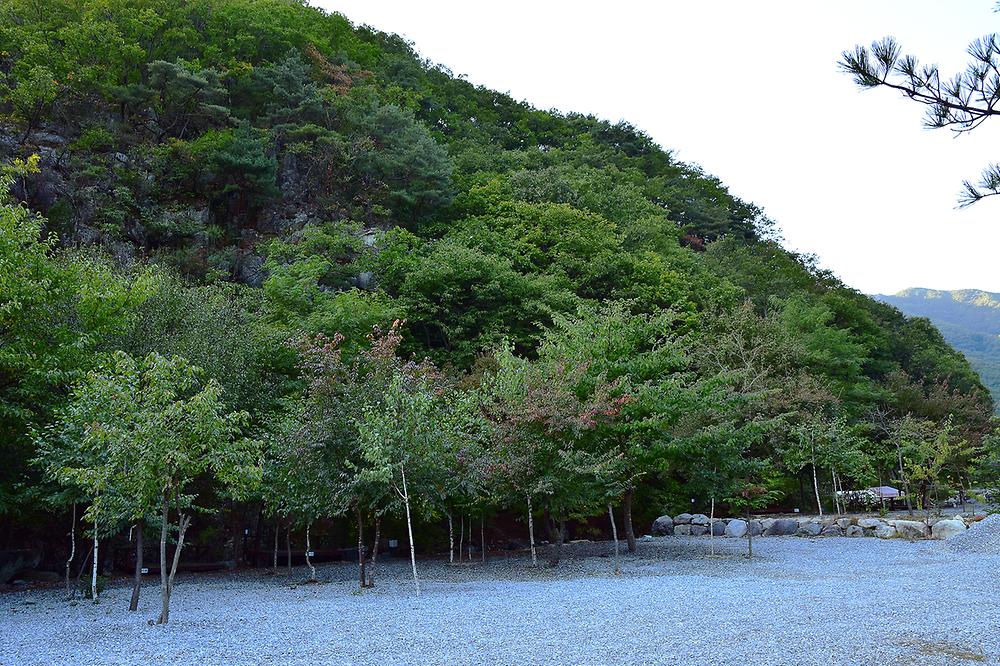 담터오지캠핑장