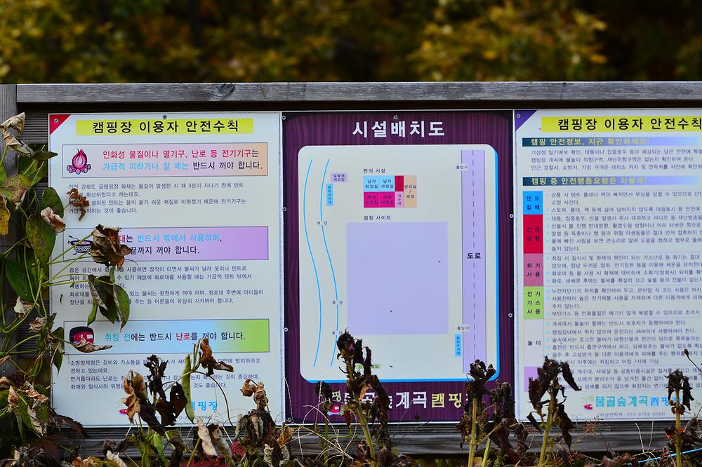 가평 물골숲 계곡 캠핑장