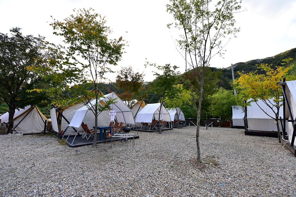 가평 오렌지캠프