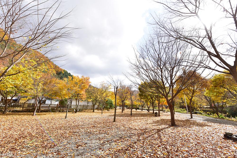 개울가오토캠핑장