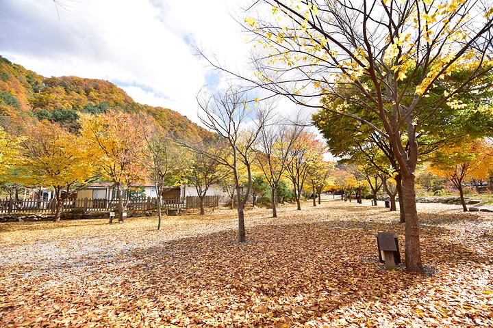 개울가오토캠핑장 메인 이미지