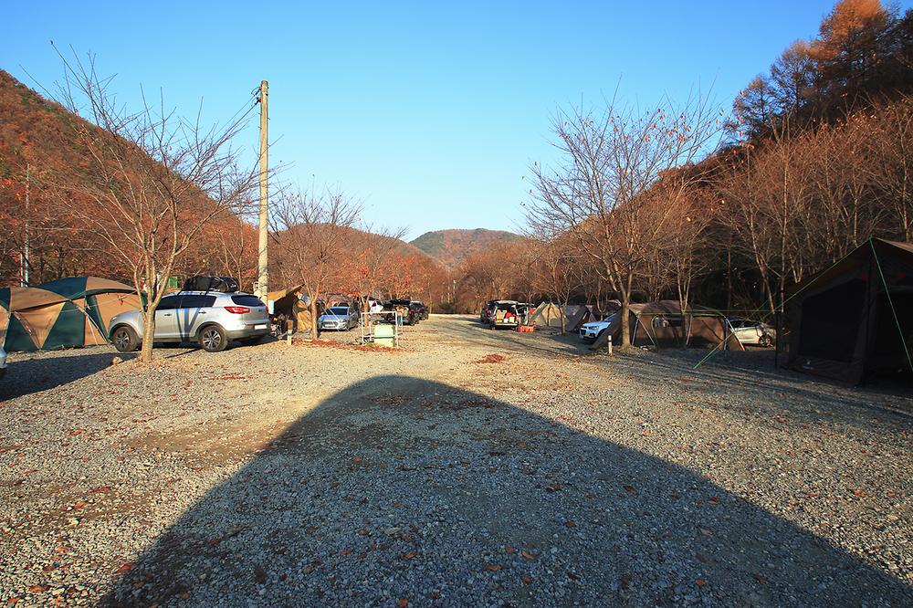 곤달비캠프