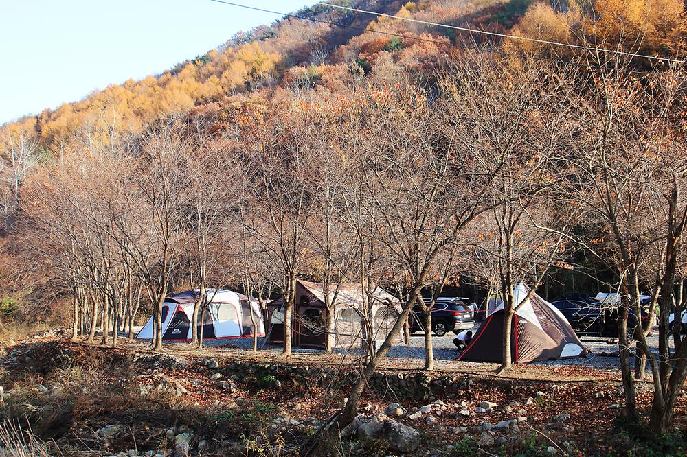 곤달비캠프