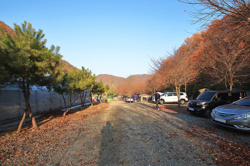 곤달비캠프