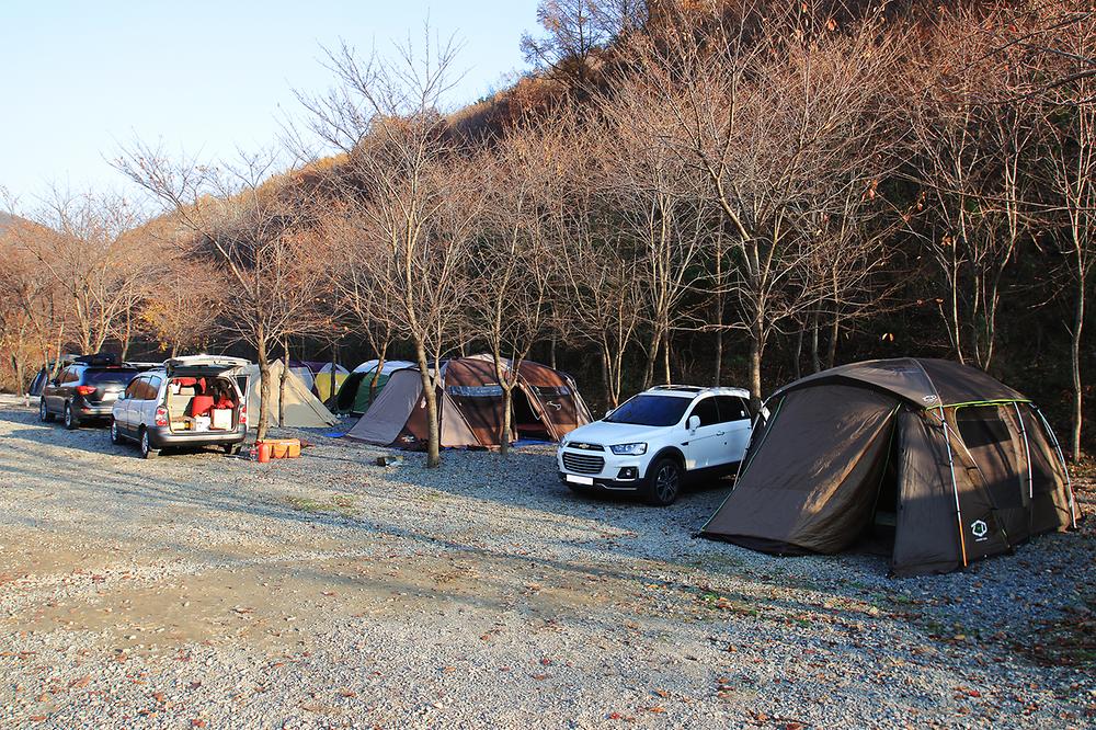 곤달비캠프