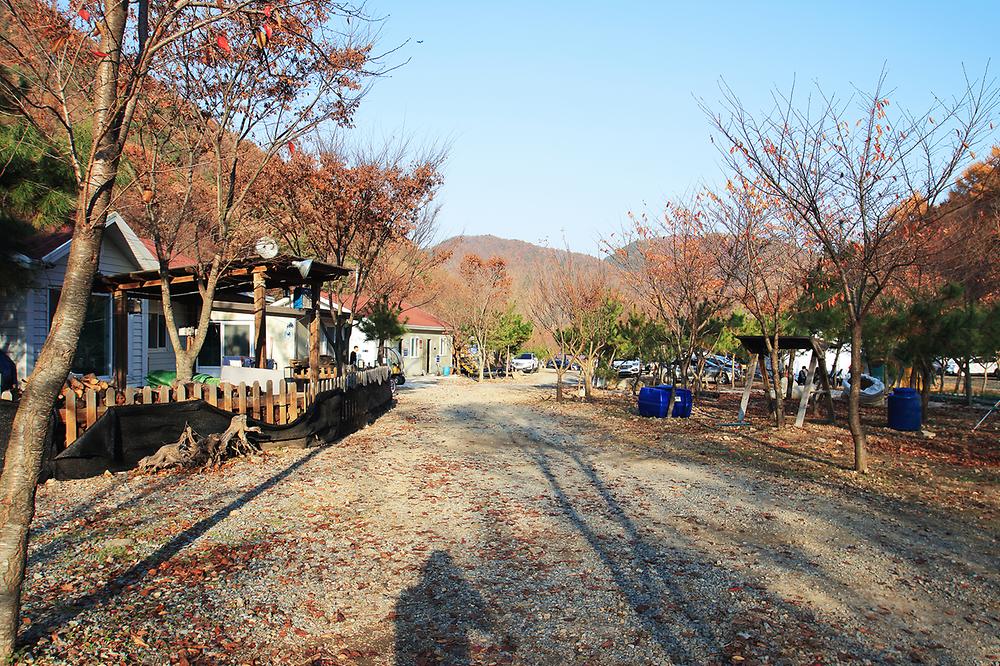 곤달비캠프