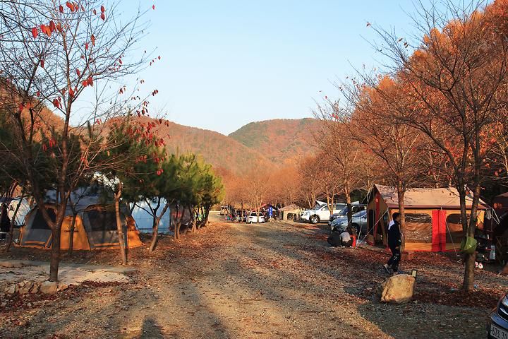 곤달비캠프