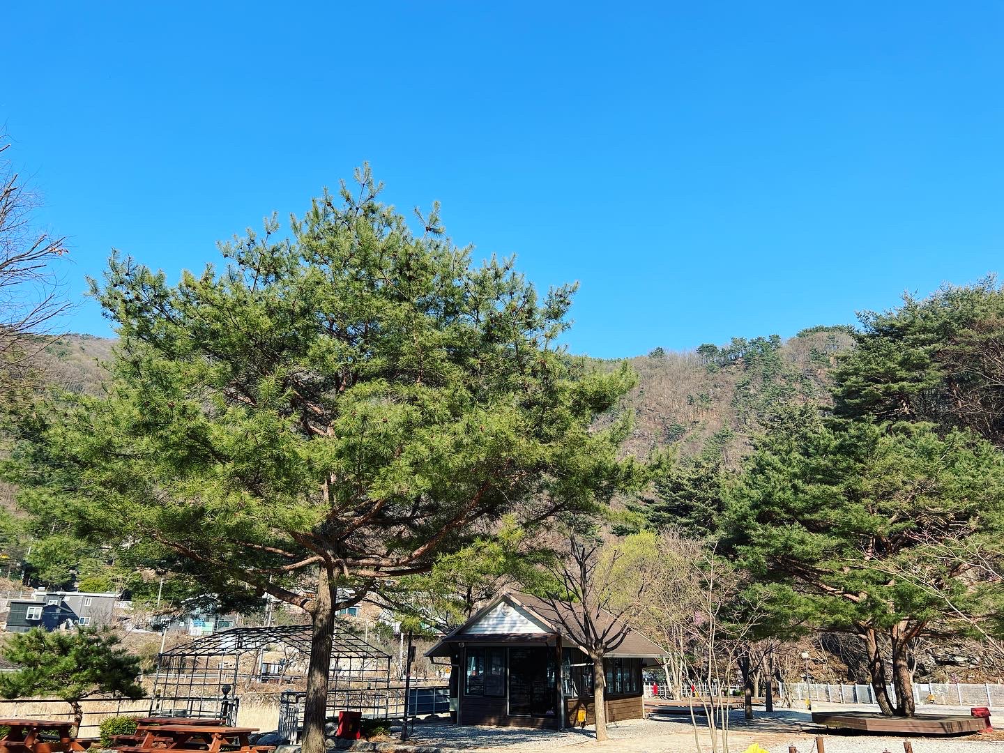 네스트캠핑장