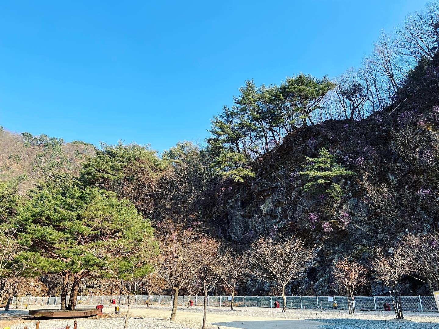 네스트캠핑장
