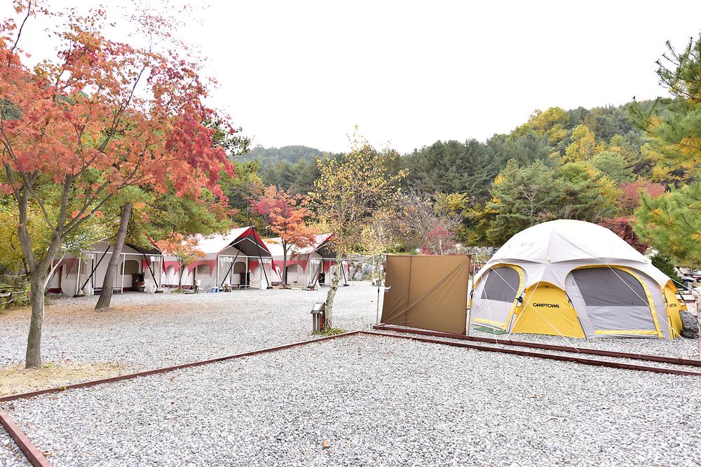 한국관광공사 고캠핑 고캠핑