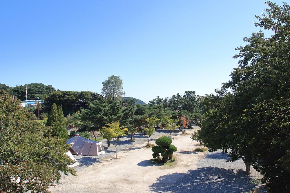 늘푸른캠핑장