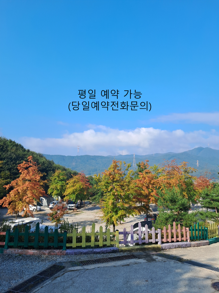 단풍숲캠핑장 메인 이미지