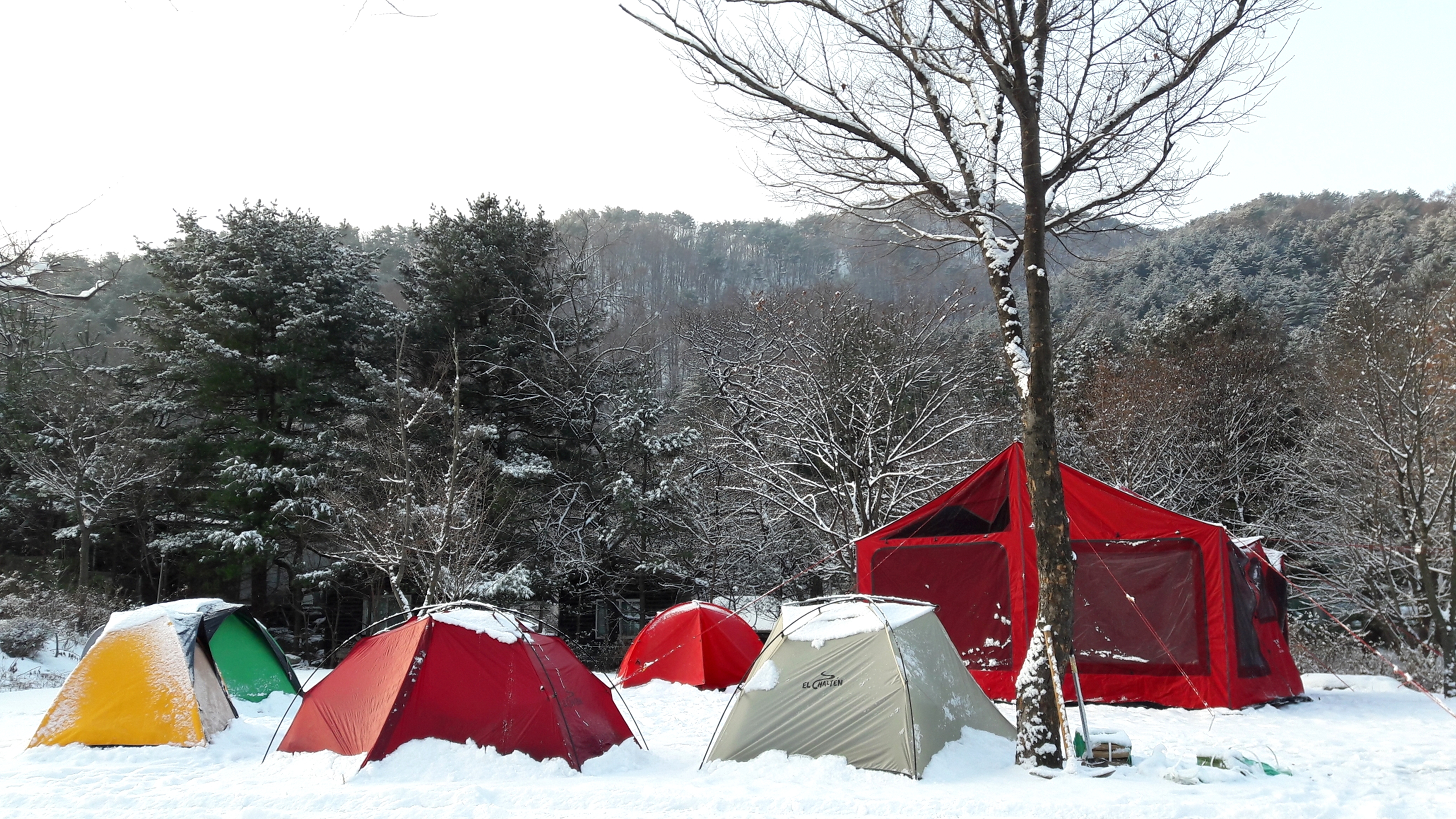 들꽃여울캠핑장