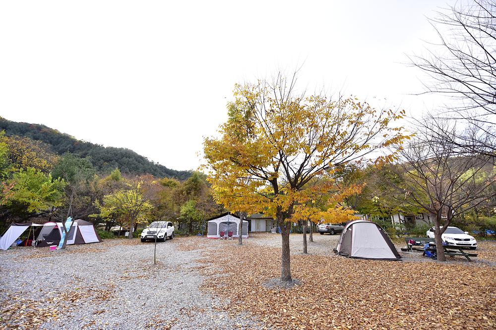 들꽃여울캠핑장