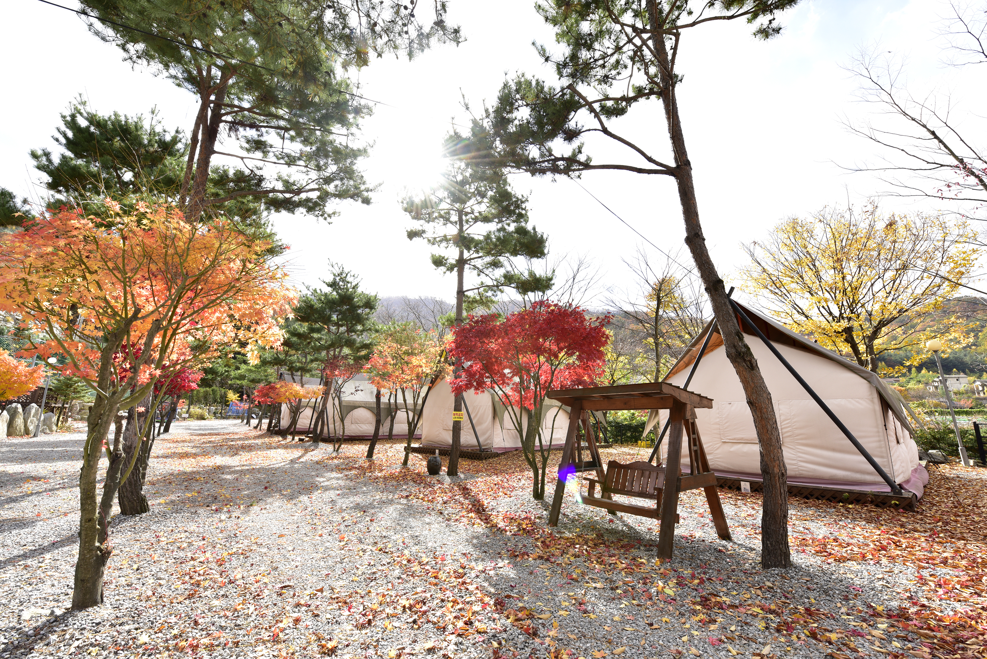 리즈밸리