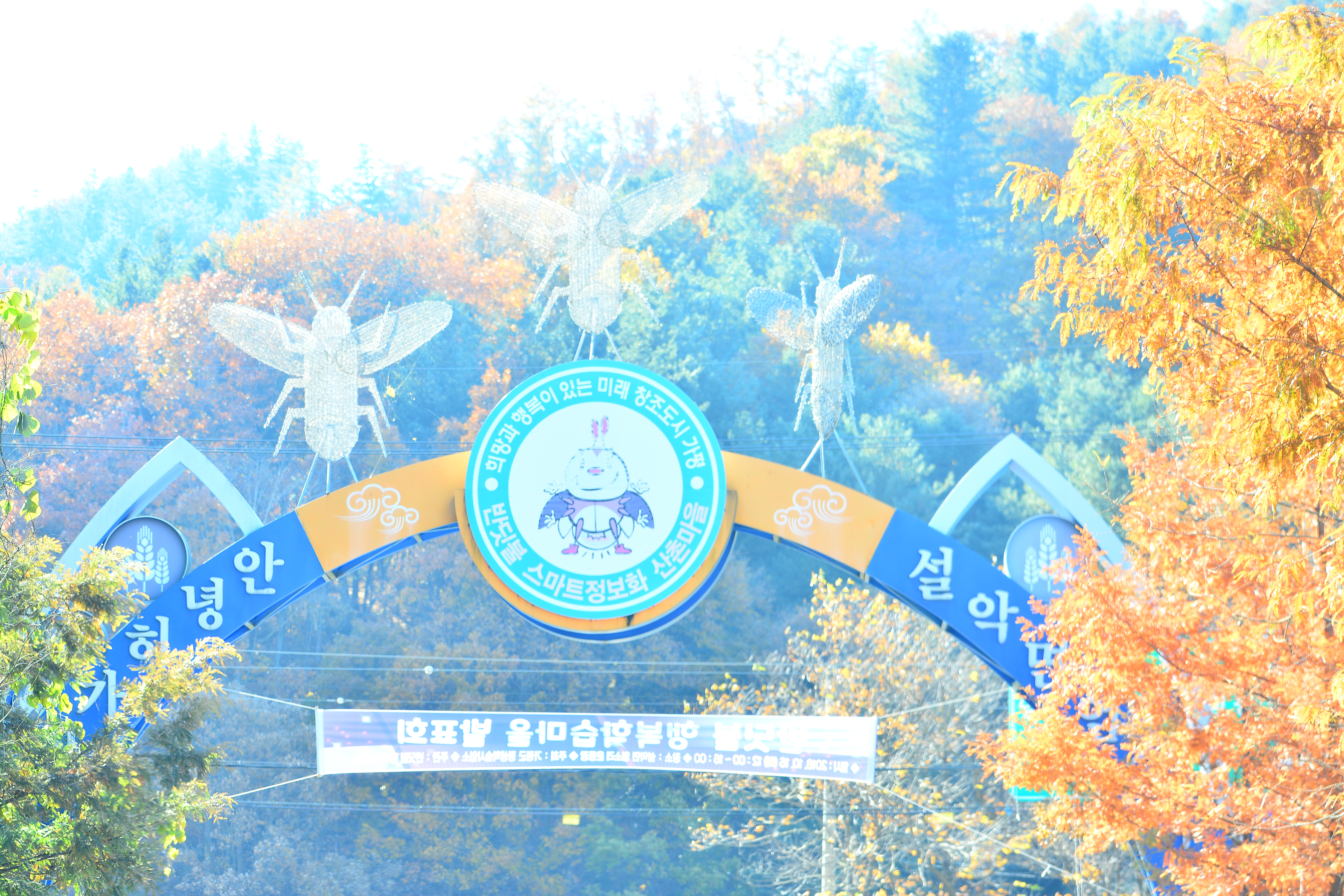 별빛오토캠핑장