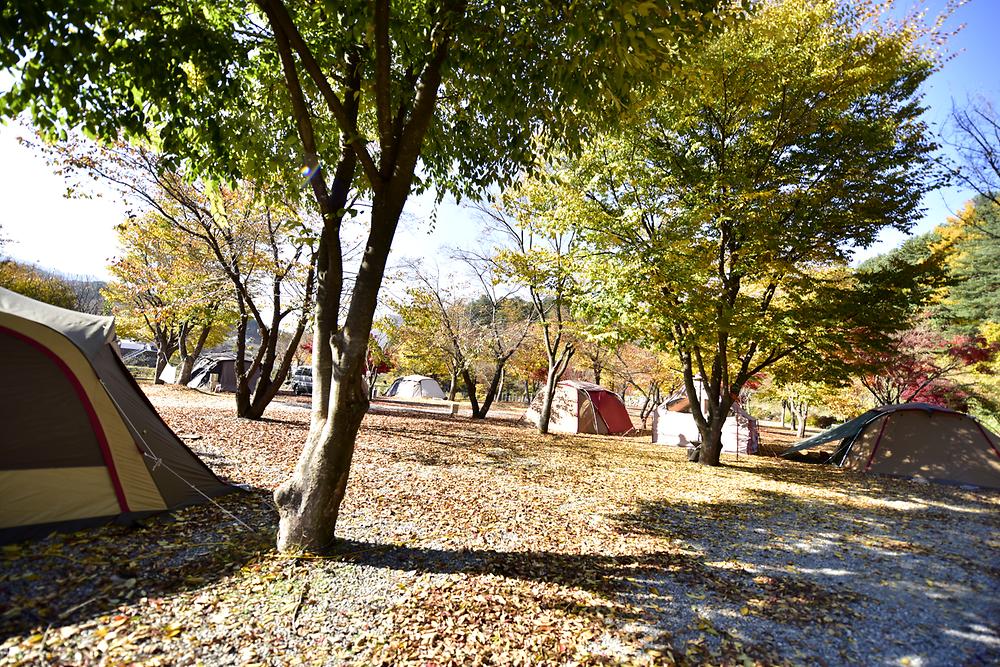 별빛오토캠핑장
