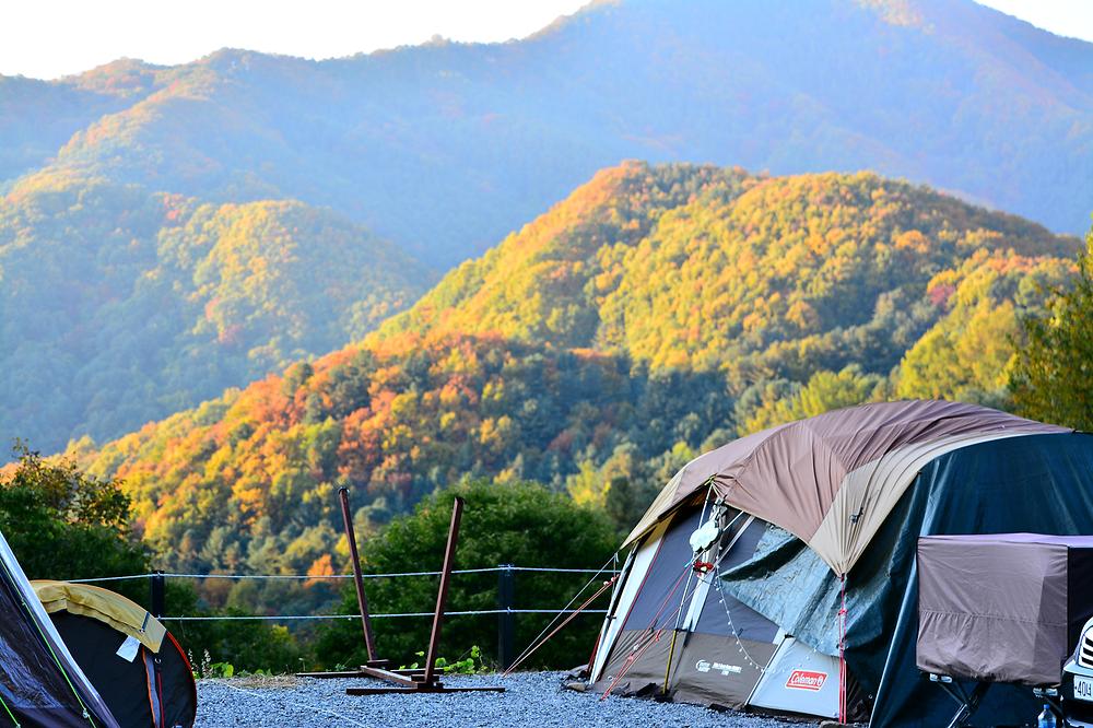 산으로간 니모 캠핑장