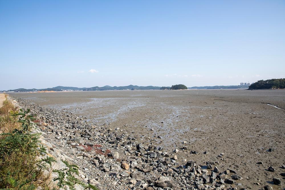 선재오토캠핑장